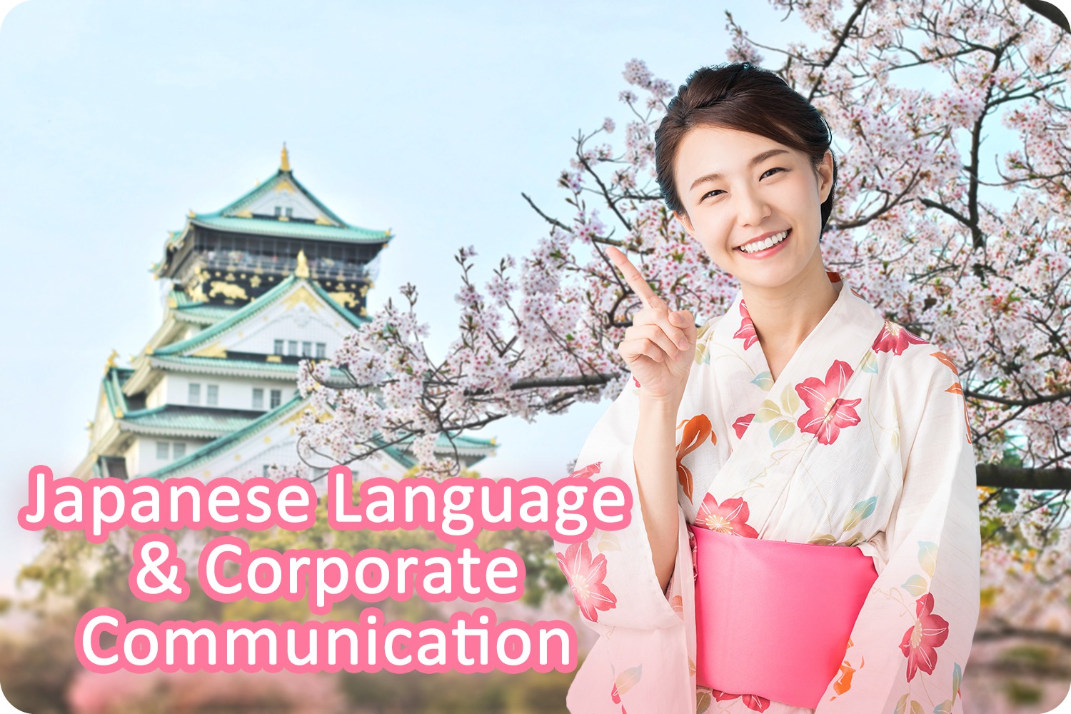 Higher Diploma in Language and Corporate Communication (Japanese)